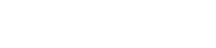 Bloom Editor Light Logo